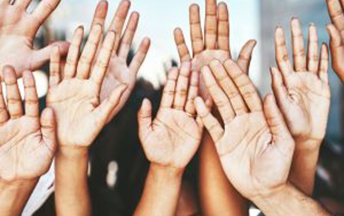 Adoptee Voices Inquiry Survey