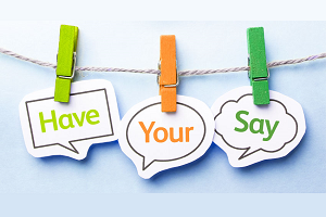 Adopter Voice review - early permanence carers and adopters
